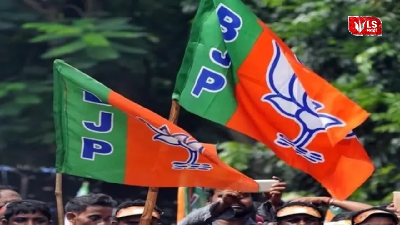 BJP LC Candidates List 2026